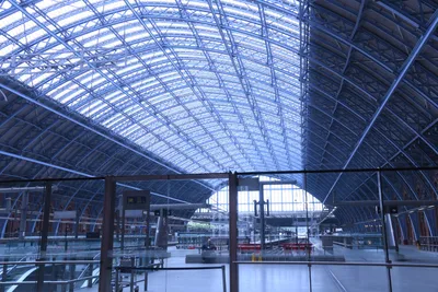 DSC_1567 (Large).JPG